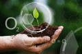 Male hand carefully holding little sprout. Photosynthesis responsible for producing and maintaining the oxygen.