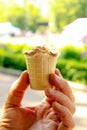 A male hand with chocolate ice cream in waffle cone on blurred green summer nature background Royalty Free Stock Photo