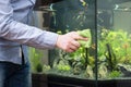 Male hand cleaning aquarium glass