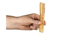 Male hand demonstrates the stick of dried bovine penis for dogs on a white background