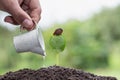 Male hand giving water to young plant and green nature background,  plant and save forest concept, World Environment Day Royalty Free Stock Photo