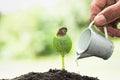 Male hand giving water to young plant and green nature background,  plant and save forest concept, World Environment Day Royalty Free Stock Photo