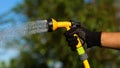 Male hand in glove holding and moving hose and watering plant in garden on sunny day. Man spraying water on plant Royalty Free Stock Photo