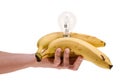 Male hand holding bananas and lamp Royalty Free Stock Photo