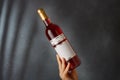 Male hand holding bottle of pink red wine, natural fruit alcohol liquor with empty label on grey background. Mock up, template for Royalty Free Stock Photo