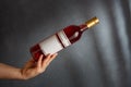 Male hand holding bottle of pink red wine, natural fruit alcohol liquor with empty label on grey background. Mock up, template for Royalty Free Stock Photo