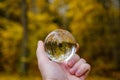 male hand holding crystal glass ball against nature background with reflections Royalty Free Stock Photo