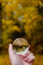 male hand holding crystal glass ball against nature background with reflections Royalty Free Stock Photo