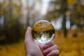 male hand holding crystal glass ball against nature background with reflections Royalty Free Stock Photo