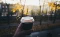 Male hand holding cup of coffee morning sun against the window Royalty Free Stock Photo