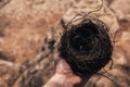 Male hand holding a fragile empty bird& x27;s nest, view from above on sunny day. Concept of empty nest syndrome with copy Royalty Free Stock Photo