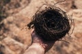 Male hand holding a fragile empty bird& x27;s nest, view from above on sunny day. Concept of empty nest syndrome. Royalty Free Stock Photo