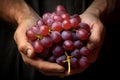 Male hand holding grape fruit. Generate ai