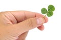 Male hand holding green clover leaf isolated on a Royalty Free Stock Photo