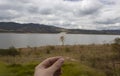 A male hand holding a lion teeth flower with seed and natural lake, grass and mountains scene