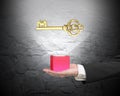 Male hand holding red block with golden Euro symbol Royalty Free Stock Photo