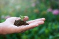 Male hand holding small succulent plant growing from soil on green blurred background. Concept of sustainability, growth and Royalty Free Stock Photo