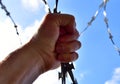 Male hand holding on to the barbed wire against the blue sky. The concept of not freedom as exclusion and desire for freedom Royalty Free Stock Photo