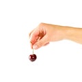 The male hand holds one red cherry berries. Isolated on white ba Royalty Free Stock Photo