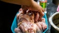 Male hand mixing the chicken meat with vinegar in a plastic food container