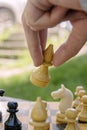 The male hand moves the white bishop chess piece on the board Royalty Free Stock Photo