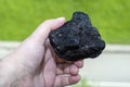 Male hand with a piece of coal on a blurred background of green forest.