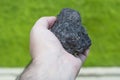 Male hand with a piece of coal on a blurred background of green forest