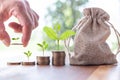 Male hand putting coins with money stack step growing growth saving money, Concept finance business investment.tree growing on coi Royalty Free Stock Photo