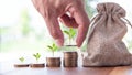 Male hand putting coins with money stack step growing growth saving money, Concept finance business investment.tree growing on coi Royalty Free Stock Photo
