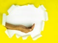 Male hand ripped yellow paper on white background,space for your message on torn paper Royalty Free Stock Photo