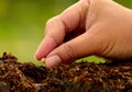 Male hand seeding for planting over green environment