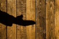 Male Hand Shadow on a wooden background, XXXL