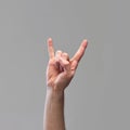 Male hand showing gesture of rock and roll, Hook & x27;Em Horns against grey background. Having good time signal