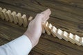 A male hand stopping the domino effect. Royalty Free Stock Photo