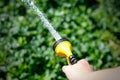 Male hand watering a green plant with water from the hose. Water Royalty Free Stock Photo