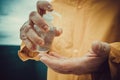 Male hands with antiseptics Royalty Free Stock Photo