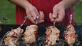 Male hands cooking barbecue kebab outside. Shish kebab grilling on skewers.