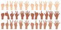 Male hands counting. Human arms with different number of fingers. International skin colors. Calculation gestures. Left