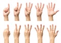 Male hands counting from one to five isolated Royalty Free Stock Photo