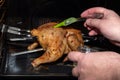 Male hands covering raw whole chicken roasting in the oven with sauce, close-up. Preparing a meat dish for a festive Royalty Free Stock Photo