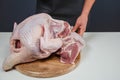 Male hands cut the carcass of a large Turkey on a wooden board. Fresh meat Royalty Free Stock Photo