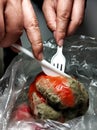 Male hands cut red rotten pepper in a plastic bag with a plastic knife and fork. Ecology, problem of overconsumption. Royalty Free Stock Photo