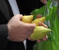 The male hands hold a ritual Citron fruit