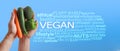 Elements of Veganism Word Tag Cloud Royalty Free Stock Photo