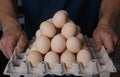 Male hands holding a full tray of fresh and clean chicken eggs Royalty Free Stock Photo