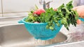male hands holding plastic colander filled with fresh ripe vegetables and herbs under splashing water above kitchen sink