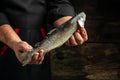 Male hands holding rainbow trout with lemon, garlic, herbs and spices, Fish dish cooking with various ingredients Royalty Free Stock Photo