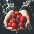 Male hands holding fresh juicy strawberries Royalty Free Stock Photo