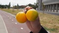 Male hands holding two yellow lemons background of a City Street road