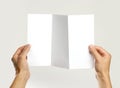 Male hands holding a white booklet triple sheet of paper. Isolated on gray background. Closeup